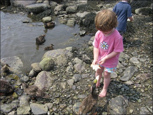 IMG_3516.jpg