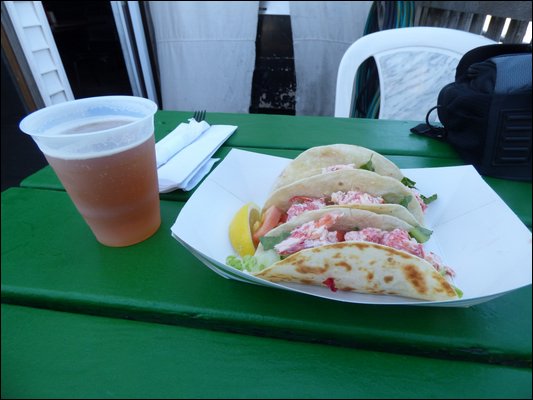 P1000655.jpg