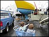 IMG_6518.jpg