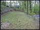 IMG_8003.jpg