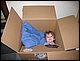 IMG_8094.jpg
