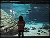 IMG_2608.jpg