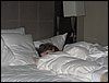 IMG_2696.jpg