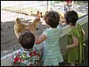 IMG_0188.jpg