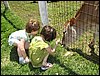IMG_0218.jpg