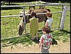 IMG_0221.jpg