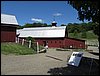 IMG_0297.jpg
