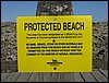 IMG_0029.jpg