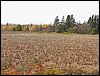 IMG_9759.jpg