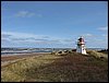 IMG_9773.jpg