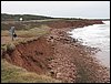 IMG_9837.jpg