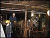 IMG_9976.jpg