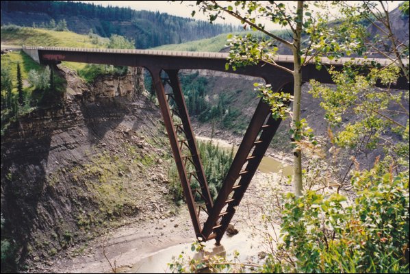 A31.jpg