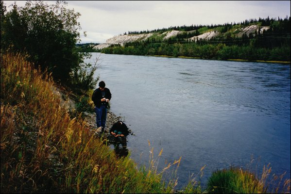 A81.jpg