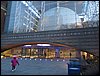 IMG_1831.jpg