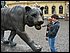 IMG_3754.jpg