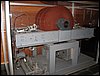 IMG_2870.jpg