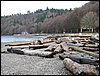 IMG_2887.jpg