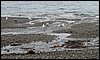 IMG_2889.jpg