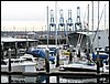 IMG_2929.jpg