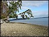 IMG_2960.jpg