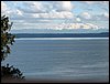 IMG_2964.jpg