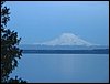 IMG_2972.jpg