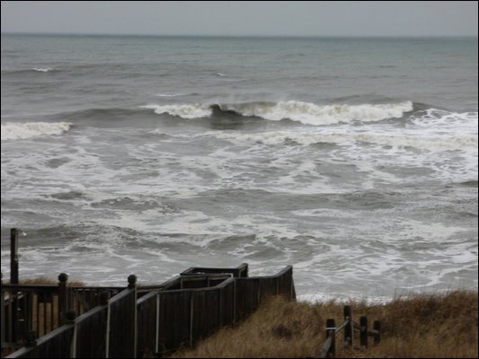 P1040325.jpg
