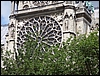 P1080988.jpg
