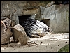 P1090008.jpg