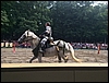 IMG_2912.jpg