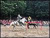 IMG_2930.jpg