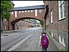 P1000650.jpg