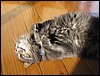 IMG_5361.jpg