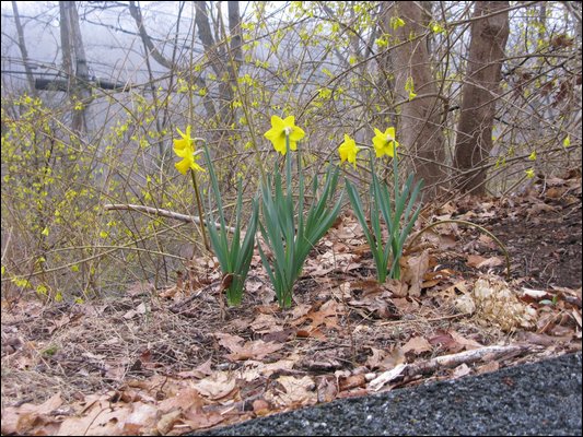 IMG_0570.JPG