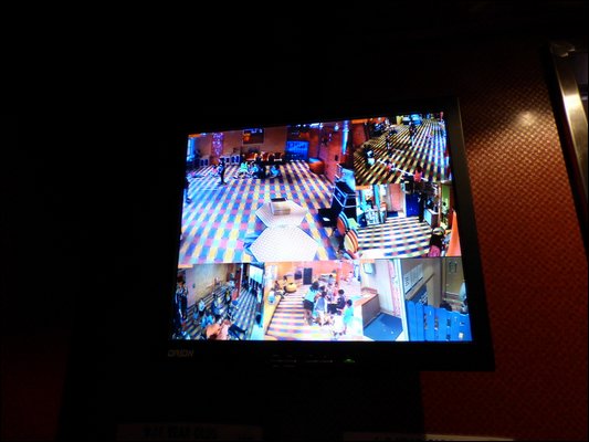 P1000515.jpg