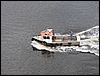 P1000223.jpg