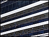 P1000251.jpg