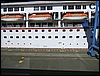 P1000252.jpg