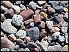P1000267.jpg
