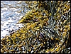 P1000270.jpg