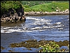 P1000281.jpg