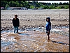 P1000345.jpg