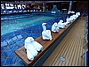 P1000426.jpg