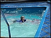 P1000495.jpg