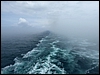 P1000537.jpg