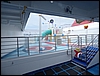 P1000575.jpg