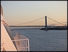 P1000589.jpg
