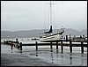 IMG_0052.jpg