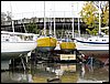IMG_0081.jpg